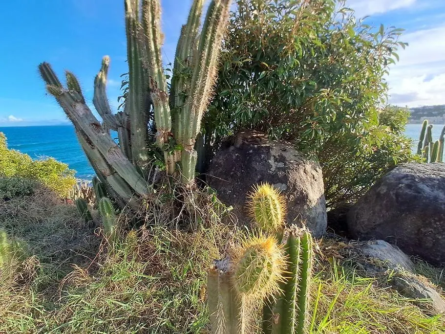 Logement De Charme A Saint-Martin Oyster Pond 0*,  Sint Maarten/Saint Martin