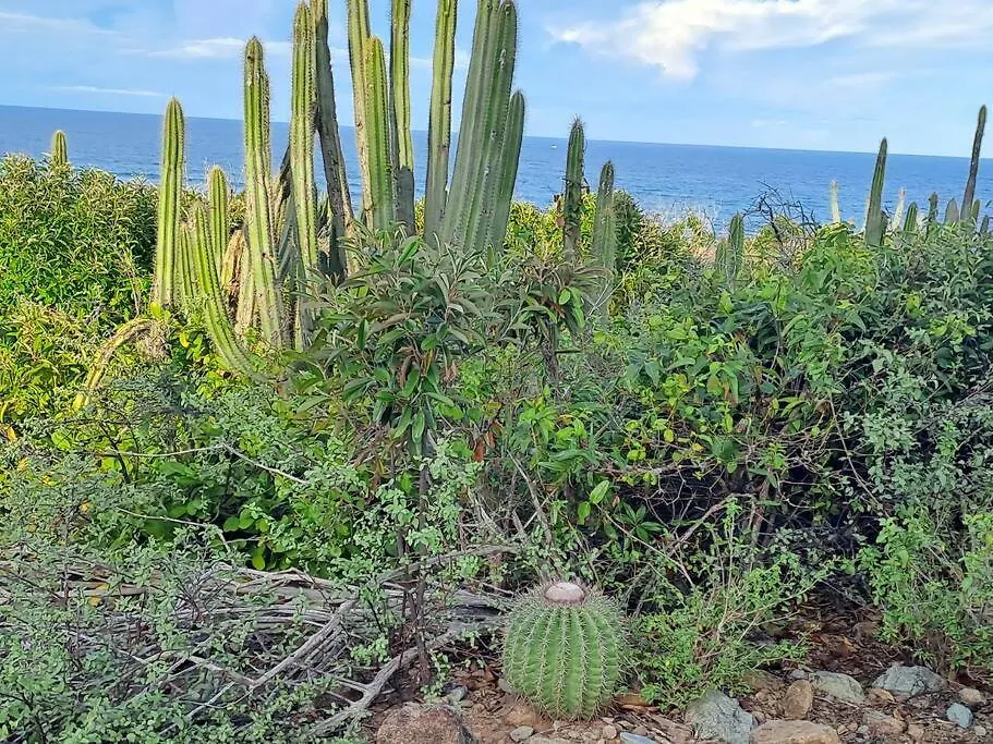 Logement De Charme A Saint-Martin Oyster Pond Apartment